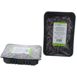 GERME DE RADIS ROUGE 85G